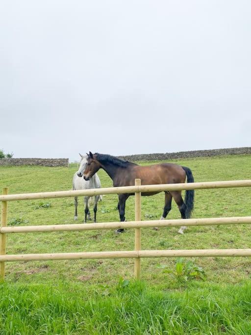 הוילה Hazelwood Luxury Detached Peak District Stone Barn - Dog Friendly מראה חיצוני תמונה