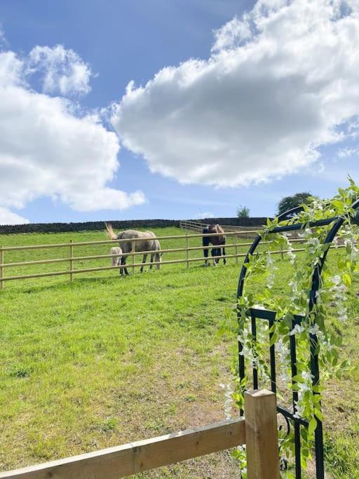 הוילה Hazelwood Luxury Detached Peak District Stone Barn - Dog Friendly מראה חיצוני תמונה