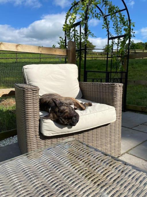 הוילה Hazelwood Luxury Detached Peak District Stone Barn - Dog Friendly מראה חיצוני תמונה