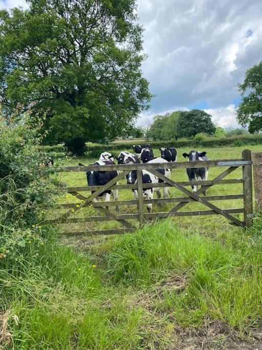 הוילה Hazelwood Luxury Detached Peak District Stone Barn - Dog Friendly מראה חיצוני תמונה